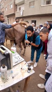 الجامعة المصرية الصينية تنظم قافلة تنموية بقرية العجمي في الشرقية 2 الجامعة المصرية الصينية تنظم قافلة تنموية بقرية العجمي في الشرقية