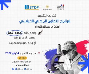 التعليم العالي تعلن فتح التقديم لمنح أبحاث ما بعد الدكتوراه بفرنسا 2027.. اعرف الشروط 2 منح أبحاث ما بعد الدكتوراه بفرنسا 2027