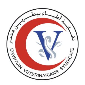 FB IMG 1791298346553 تحرك جديد من الأطباء البيطريين أمام لجنة تعليم النواب فصل سنة الامتياز والمساواة المالية.. تحرك جديد من الأطباء البيطريين أمام لجنة تعليم النواب موقع في الجامعة