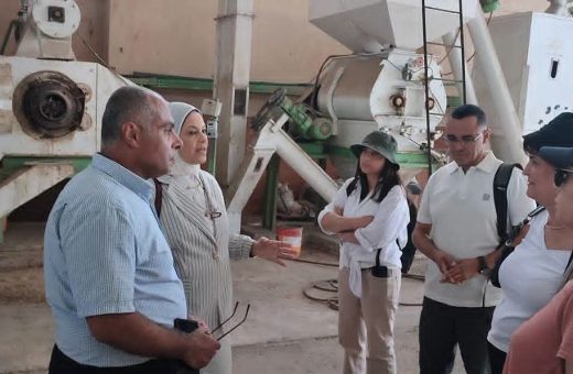 FB IMG 1791989495555 المعهد القومي لعلوم البحار يستقبل وفدًا تونسيًا المعهد القومي لعلوم البحار يستقبل وفدًا تونسيًا لبحث حلول مستدامة لإنقاذ بحيرة قربة من التلوث موقع في الجامعة