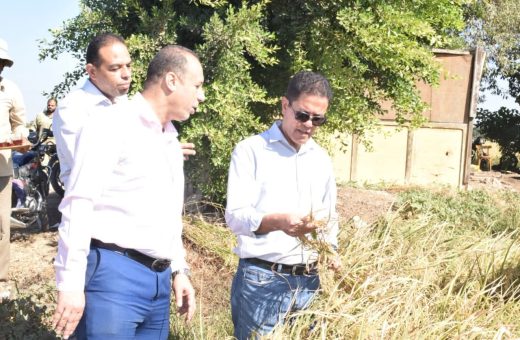 FB IMG 1792247805523 جامعة بنها تقترب من تسجيل صنفين جديدين من الأرز بعد 7 سنوات من البحث.. جامعة بنها تقترب من تسجيل صنفين جديدين من الأرز موقع في الجامعة