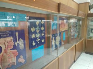 IMG 20261017 WA0132 جامعة قناة السويس بمشاركة 40 طالبًا.. جامعة قناة السويس تنظم 3 زيارات تعليمية لطلاب المدارس موقع في الجامعة