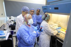 IMG 20261019 WA0016 جامعة عين شمس تعزز قدرات الباحثين في الطب التجديدي تدريب عملي على تقنيات المستقبل.. جامعة عين شمس تعزز قدرات الباحثين في الطب التجديدي موقع في الجامعة
