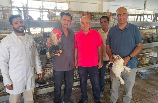 IMG 20261027 WA0098 نتيجة تنسيق المرحلة الثالثة 2026 بأسعار مخفضة.. مزارع دواجن زراعة عين شمس تطرح منتجاتها للعاملين ومنتسبي الجامعة موقع في الجامعة