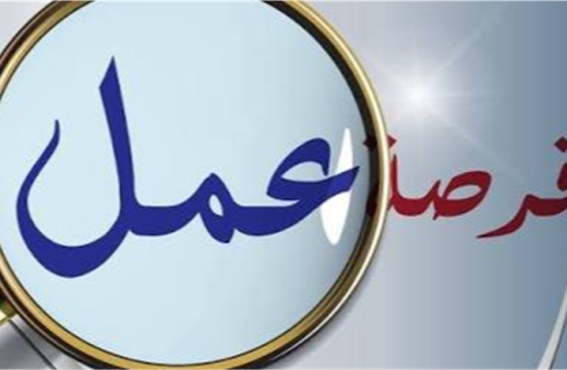 2541 فرصة عمل جديدة في 16 محافظة