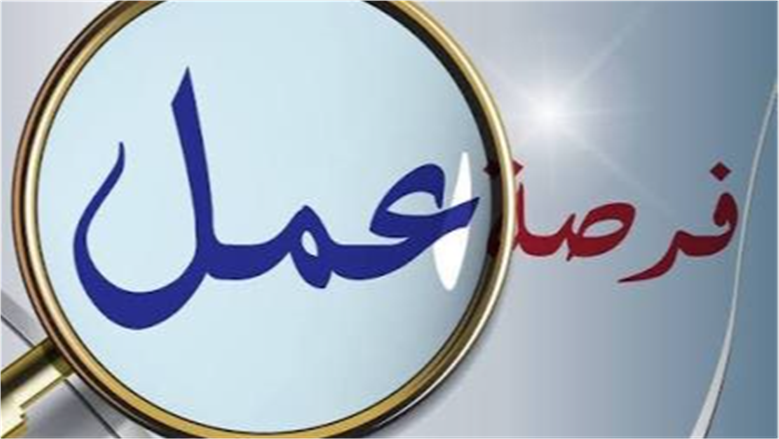 2541 فرصة عمل جديدة في 16 محافظة