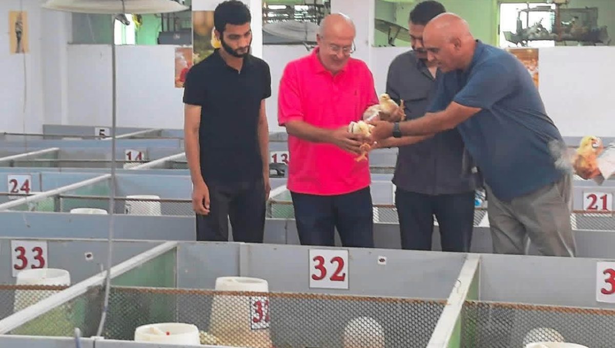 IMG 4728 زراعة عين شمس تفتتح عنبري دواجن زراعة عين شمس تفتتح عنبري دواجن جديدين وتطرح إنتاج الأرز للعاملين بأسعار مخفضة موقع في الجامعة