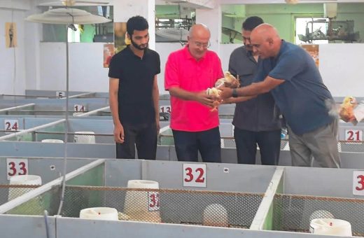IMG 4728 رئيس جامعة القاهرة زراعة عين شمس تفتتح عنبري دواجن جديدين وتطرح إنتاج الأرز للعاملين بأسعار مخفضة موقع في الجامعة