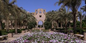 مصر تحتضن تدريب 100 أفريقي مهني من 22 دولة بالجامعة الأمريكية 2 IMG 4774 الجامعة الأمريكية مصر تحتضن تدريب 100 أفريقي مهني من 22 دولة بالجامعة الأمريكية موقع في الجامعة