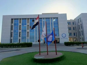 جامعة دمياط الأهلية للوافدين 2026