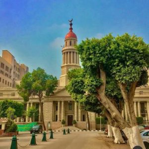 سفارة سنغافورة تشيد بجهود أطباء قصر 