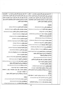 IMG 5699 جائزة الدولة للمبدع الصغير 2026 جائزة الدولة للمبدع الصغير 2026.. موعد التقديم والشروط وقيمة الجوائز موقع في الجامعة