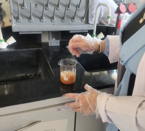 جامعة بني سويف الأهلية