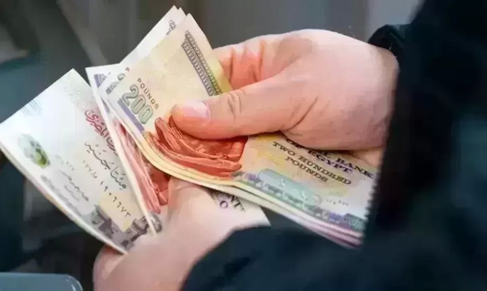 IMG 5988 رواتب الجامعات الأهلية رواتب الجامعات الأهلية.. كم يحصل رئيس الجامعة والعميد وأعضاء هيئة التدريس؟ موقع في الجامعة