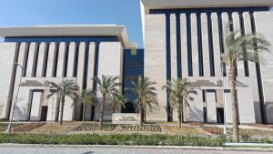 IMG 6609 اشتراك Google AI Plus مجانًا لطلاب الجامعات.. خطوات ورابط التسجيل في اشتراك Google AI Plus موقع في الجامعة