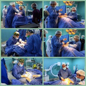 IMG 6681 جامعة القاهرة تقدم خدمات مجانية جامعة القاهرة تقدم خدمات مجانية لـ4500 مواطن بالواحات البحرية موقع في الجامعة