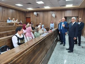 جامعة جنوب الوادي الأهلية