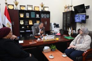 الجامعة المصرية الصينية