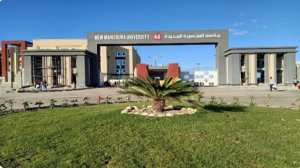 جامعة المنصورة الجديدة 2026