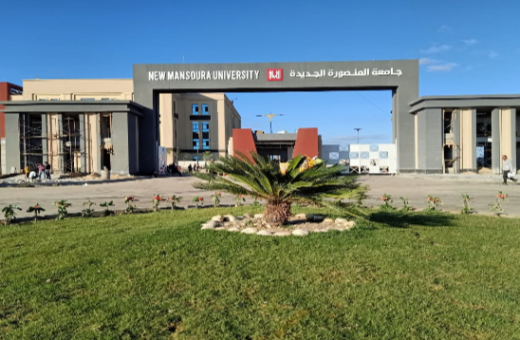 جامعة المنصورة الجديدة 2026