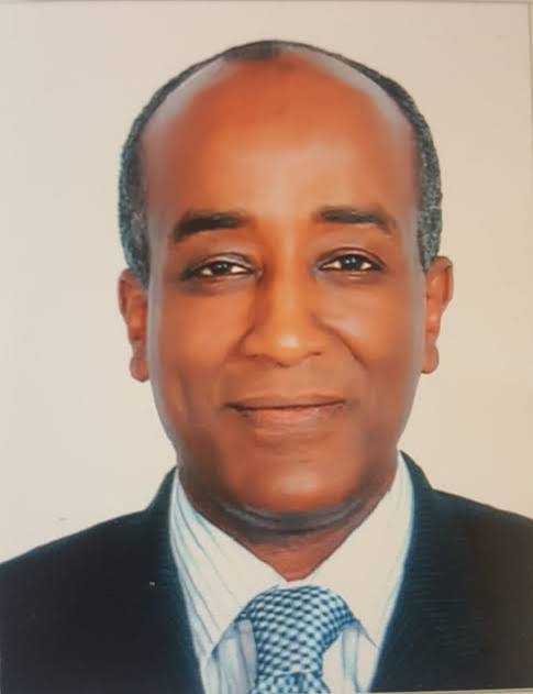 السفير محمد أبو بكر